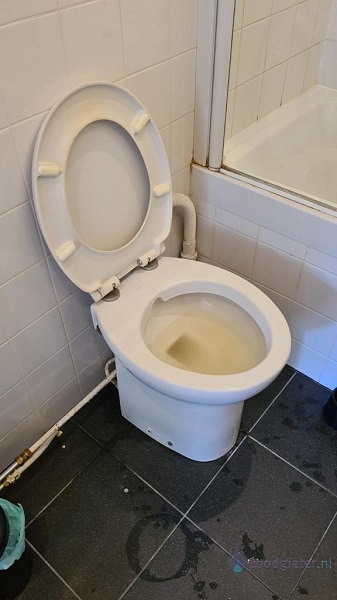  verstopping toilet Hazerswoude-Dorp